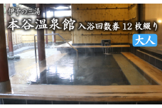 伊予の三湯「本谷温泉館」大人入浴回数券12枚綴り