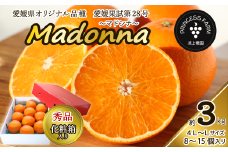 【先行予約】農園直送 「Madonna（ 愛媛果試第28号 ）」 約３㎏ 秀品 化粧箱 お任せサイズ（L～4L）8～15個入  2025年11月下旬～2026年1月中旬頃発送　愛媛県オリジナル品種 柑橘 マドンナ