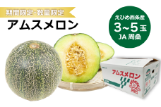アムスメロン （JA周桑） 3～5玉入り　期間限定 数量限定 2024年6月発送   【オンライン決済限定】