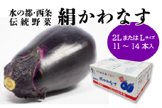 絹かわなす （JAえひめ未来） Ｌサイズまたは2Lサイズ　2025年6月中旬～7月発送　【オンライン決済限定】
