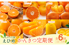 【先行予約】 えひめ かんきつ定期便 （全6回・11月～４月お届け）　｜ かんきつ 柑橘 愛媛 みかん 定期便 温州みかん 紅まどんな 伊予柑 デコポン せとか 河内晩柑 愛媛県