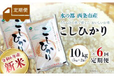 【定期便6ヶ月】 令和6年産 新米 西条産のお米 「コシヒカリ」（10kg）　こしひかり 米 精米 新米 10㎏ 定期便 6回