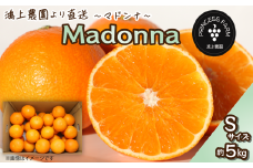 農園直送 「Madonna（ 愛媛果試第28号 ）」Ｓサイズ 約5㎏　 2024年11月下旬～2025年1月中旬頃発送　まどんな マドンナ 家庭用 愛媛県オリジナル品種 柑橘