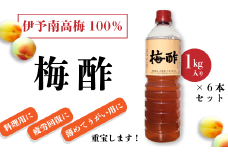 伊予南高梅100％「梅酢」（１㎏×６本セット）