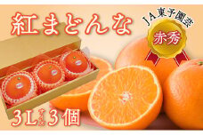 紅まどんな ＜赤秀＞ 3Lサイズ３個入り（JA東予園芸）　※2024年11月下旬～12月下旬頃発送　紅まどんな 柑橘 愛媛県オリジナル品種