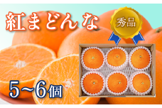 【先行予約】 紅まどんな ＜秀品＞ 5~6個（JA東予園芸またはJA周桑）　2025年11月下旬～12月下旬発送　 紅まどんな 柑橘 愛媛 かんきつ まどんな 高級 ジューシー 愛媛県 送料無料