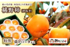 【先行予約】 愛媛県西条産 「横野柿（渋抜き）」（JA周桑） 特撰4Lサイズ×9玉入り　2025年12月発送 周ちゃん広場