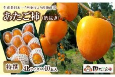 【先行予約】 愛媛県西条産 「あたご柿（渋抜き）」 （JA周桑） 特撰4Lサイズ×10玉入り　2025年12月発送 周ちゃん広場