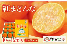 【先行予約】 周ちゃん広場より発送 「 紅まどんな 」  10～12玉入（3L～2Lサイズ） 3㎏ 化粧箱　2025年12月発送  紅まどんな 柑橘 かんきつ