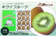 【先行予約】 愛媛県西条産 「キウイフルーツ」（JA周桑） 4Lサイズ12玉入り　大玉サイズ キウイ　2026年2月～3月発送