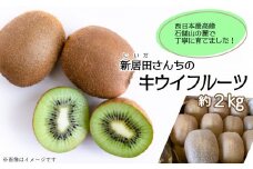 【先行予約】 愛媛県西条産  新居田さんちのキウイフルーツ  約2㎏（15～20個入り）　2025年11月中旬～2026年1月発送