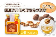 愛媛県西条市産　国産クルミのはちみつ漬け（１個）