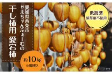 干し柿用渋柿 「愛媛県産あたご柿」 約10㎏ 西条市 やまちゃんふぁーむ 低農薬 除草剤不使用 干し柿 柿 【オンライン決済限定】