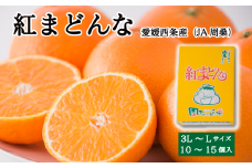 紅まどんな（JA周桑） 秀品 10～15個入 3L～Lサイズ　※2024年11月下旬～12月下旬頃発送　紅まどんな 柑橘 愛媛県オリジナル品種