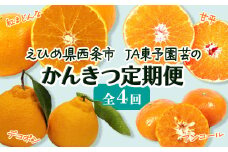 【先行予約】えひめ西条 JA東予園芸の「かんきつ定期便（全４回）」紅まどんな 甘平 アンコール デコポン【オンライン決済限定】