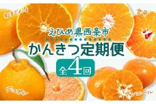 【先行予約】かんきつ定期便 全4回  ～ 紅まどんな 甘平 アンコール デコポン ～  ※2025年12月より発送開始　みかん 果物 くだもの フルーツ 柑橘 紅まどんな かんぺい 高級 産直 産地直送 数量限定 愛媛 西条市 JA東予園芸 【オンライン決済限定】