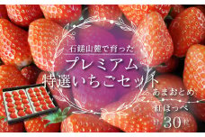 石鎚山麓で育った プレミアム 特選いちごセット＜あまおとめ＆紅ほっぺ＞30粒入　2024年12月中旬～2025年3月頃発送　ゆきもと農園 苺 いちご  【オンライン決済限定】