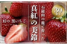 石鎚山の麓で育った 幻のいちご ＜ 真紅の美鈴 ＞　2024年12月中旬～2025年3月頃発送　ゆきもと農園 苺 いちご  【オンライン決済限定】