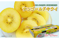 サンゴールドキウイ 25～27玉　※2024年11月下旬～12月下旬頃発送　キウイ サンゴールド