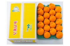 【先行予約】 西条市産デコポン（2Lサイズ20個入またはLサイズ24個入）　2025年2月下旬～3月下旬発送  【オンライン決済限定】