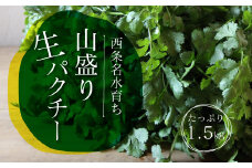 西条名水育ちの山盛り生パクチー1.5kg