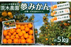 茨木農園 「夢みかん（品種：石地温州みかん）」約5kg  樹上完熟 家庭用 みかん 温州みかん 石地みかん うんしゅう 西条市 愛媛 柑橘 【オンライン決済限定】