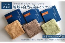 「地域の自然を染めるタオル」 タオルハンカチ 3枚セット（3色）　天然加工 草木染 西条市 河上工芸所