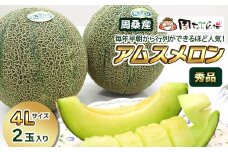 周ちゃん広場より直送 周桑産アムスメロン（秀品） 4Lサイズ2玉入り　2025年6月発送   【オンライン決済限定】