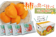 柿 詰め合わせ 西条市産の柿の食べ比べ　干し柿・柿セット　愛媛県西条市 【先行予約・2025年12月発送】 ｜ あたご柿 あんぽ柿 柿 フルーツ 柿 かき カキ 果物 干し柿