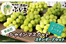 ゆきもと農園 ＜家庭用＞ シャインマスカット スタンダードセット 約1.2㎏ 3～4房　2025年8月中旬～9月発送  【オンライン決済限定】