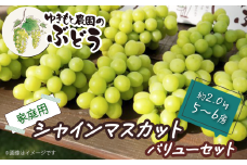 ゆきもと農園 ＜家庭用＞ シャインマスカット バリューセット 約2.0㎏ 5～6房　2025年8月中旬～9月発送  【オンライン決済限定】