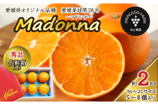 【先行予約】 農園直送 「Madonna（ 愛媛果試第28号 ）」 約２㎏ 秀品 化粧箱 お任せサイズ（2L～5L）5～8個入  2025年11月下旬～2026年1月中旬頃発送　愛媛県オリジナル品種 柑橘 マドンナ