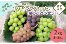 【先行予約】 輝らり果樹園の完熟シャインマスカットと旬のぶどう 食べ比べセット 2㎏（3～5房） ｜ 2025年9月発送 ｜ 愛媛 西条産 秋ぶどう 朝採れ 農家直送 【オンライン決済限定】