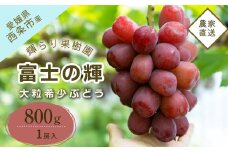 【先行予約】 輝らり果樹園の富士の輝（ふじのかがやき） 1房 約800g ｜愛媛・西条産の希少大粒ぶどう ｜ 2025年9月発送 ｜ 愛媛 西条産 秋ぶどう 朝採れ 農家直送 【オンライン決済限定】