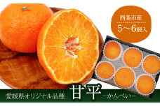 【先行予約】 西条市産 「甘平」 秀品 5～6個   2025年1月下旬～2月下旬発送　愛媛県オリジナル品種 柑橘 甘平 かんぺい  