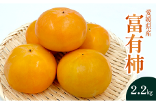 【先行予約】 愛媛県産 富有柿 約2.2㎏　2024年10月下旬～11月中旬発送　富有柿 柿 甘柿 フルーツ 秋 味覚