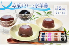 涼菓ゼリー・水羊羹 12個入（4種×3） ゼリー 水羊羹 詰め合わせ 食べ比べ 志賀商店