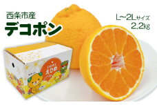 【先行予約】 西条市産デコポン  2.2㎏  L～2Lサイズ　2025年2月下旬～3月下旬発送  【オンライン決済限定】