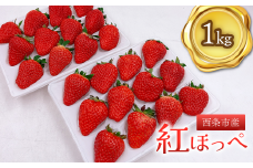 西条市産　紅ほっぺ　1kg　いちご 苺 イチゴ 紅ほっぺ 果物 フルーツ くだもの  【オンライン決済限定】