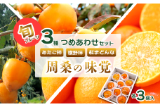 【先行予約・12月発送】 旬のフルーツ3種セット 紅まどんな あたご柿 横野柿 「周桑の味覚」 各3個入り　食べ比べ 詰め合わせ セット ギフト