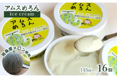 アムスめろんアイスクリーム 16個  周桑産メロン使用　スイーツ フルーツ 果物 アムスメロン アイス 周ちゃん広場 JA周桑