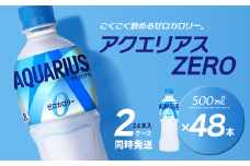 アクエリアスゼロ 500mlPET 48本（24本入×2ケース） ｜ スポーツドリンク アクエリ ゼロカロリー 水分補給 熱中症対策 清涼飲料水 飲料 ペットボトル 2箱 愛媛県 西条市 送料無料