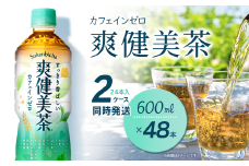 爽健美茶 600mlPET 48本（24本入×2ケース） ｜ お茶 爽健美茶 カフェインゼロ 清涼飲料水 飲料 ペットボトル 2箱 愛媛県 西条市 送料無料