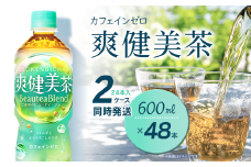 爽健美茶 600mlPET 48本（24本入×2ケース）　愛媛県西条市 ｜ お茶 爽健美茶 カフェインゼロ 清涼飲料水 飲料 ペットボトル 2箱 愛媛県 西条市 送料無料