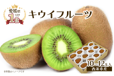 キウイ 愛媛県西条市産  グリーンキウイ  10～12玉入り  【先行予約・ 2026年1月～2月発送】｜ キウイフルーツ ヘイワード キウイ 国産 フルーツ 果物 ビタミン 食物繊維 お取り寄せ 愛媛県 西条市