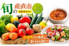 【野菜セット】旬の産直市お任せセット（6種以上）大洲市/たいき産直市愛たい菜 [AGAP001]野菜セット 野菜 詰め合わせ 野菜 セット 野菜 産直
