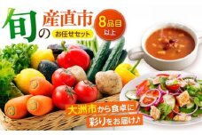 【野菜セット】旬の産直市お任せセット（8種以上）大洲市/たいき産直市愛たい菜 [AGAP002]野菜セット 野菜 詰め合わせ 野菜 セット 野菜 産直