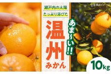 【先行予約】【11月下旬から順次発送】 温州みかん 10kg 愛媛県大洲市/永沼農園 [AGAW002] みかん 10kg みかんジュース 愛媛 みかん 愛媛みかん 大洲市産みかん 果物 くだもの フルーツ