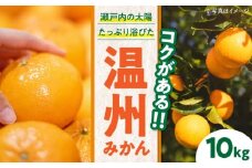 【先行予約】【11月下旬から順次発送】 温州みかん（南柑20号） 10kg 愛媛県大洲市/永沼農園 [AGAW002] みかん 10kg みかんジュース 愛媛 みかん 愛媛みかん 大洲市産みかん 果物 くだもの フルーツ