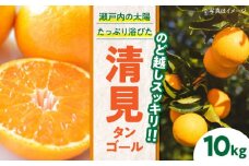 【先行予約】【2025年3月中旬から順次発送】食べ応え抜群！こどもから大人まで楽しめる！清見タンゴール 10kg 愛媛県大洲市/永沼農園 [AGAW006]みかん 果物 フルーツ みかん ミカン オレンジ 清見タンゴール 愛媛県 柑橘 みかん 10kg